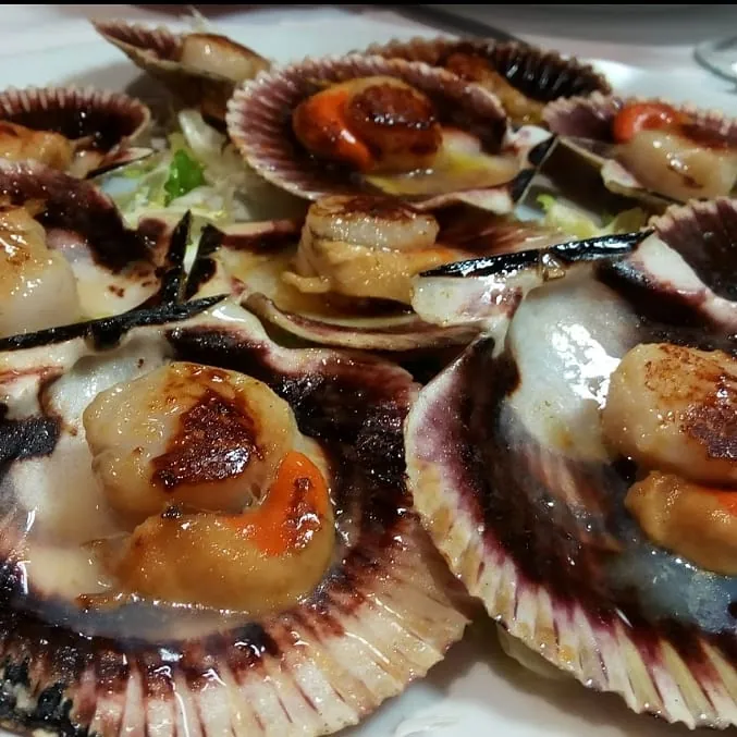 Vieiras a la plancha en su concha